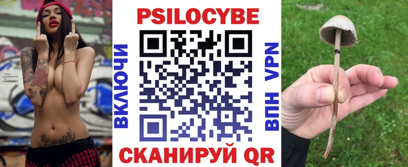 Псилоцибиновые грибы ЛСД  где купить наркоту  Йошкар-Ола 